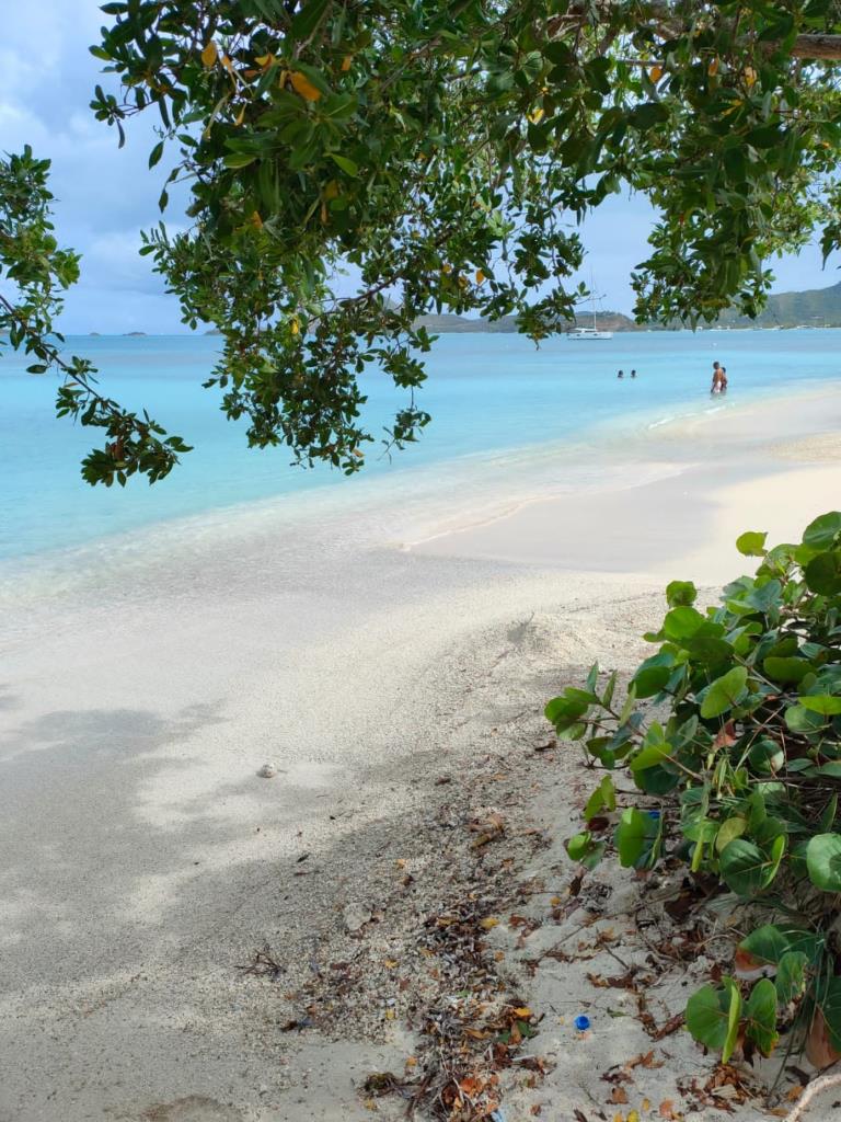 Coco beach, Antigua and Barbuda
