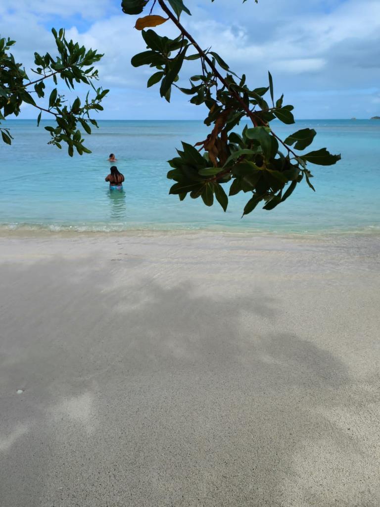 Coco beach, Antigua and Barbuda