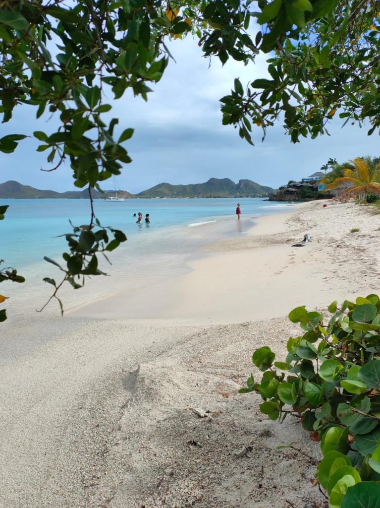 Coco beach, Antigua and Barbuda