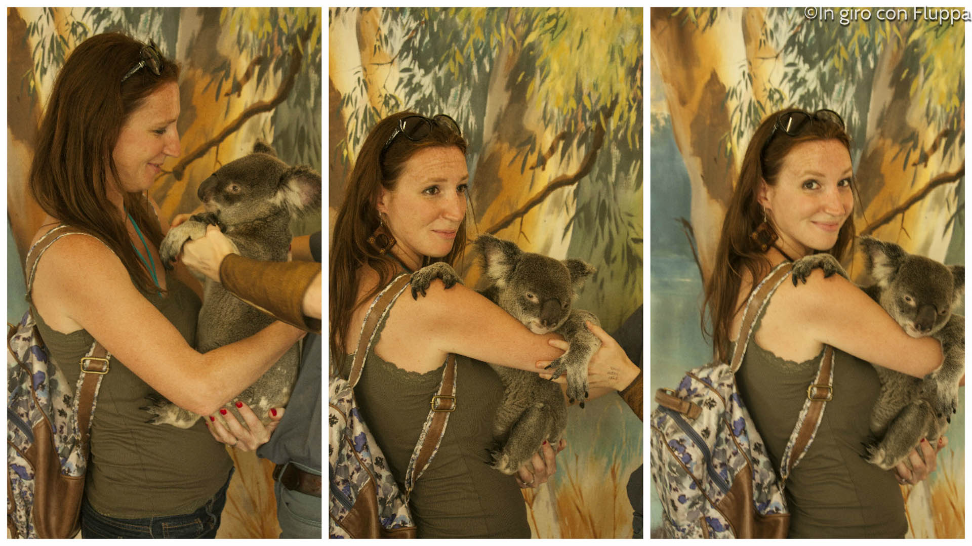Copertina del post "Australia: dove abbracciare un Koala"