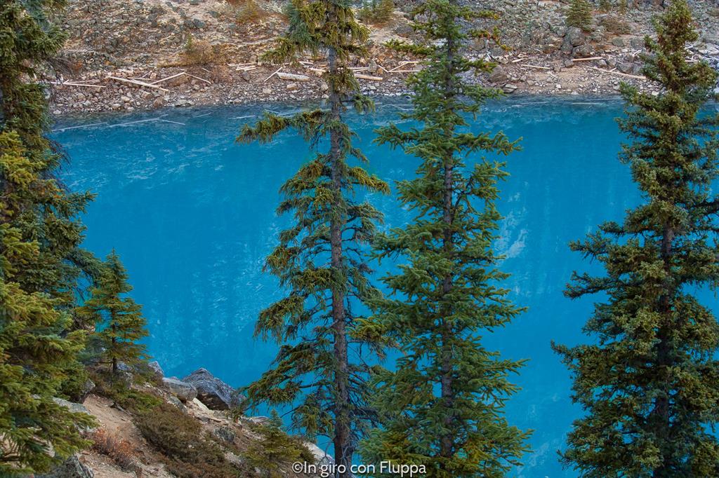 Banff National park - Moraine lake