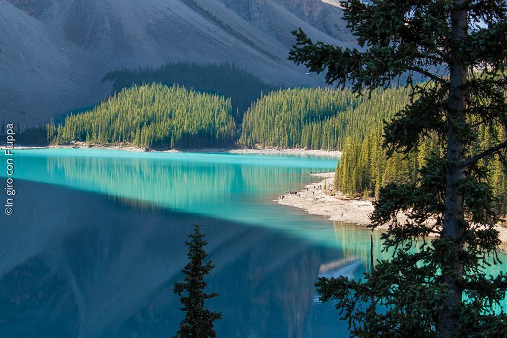 Banff National park - Moraine lake
