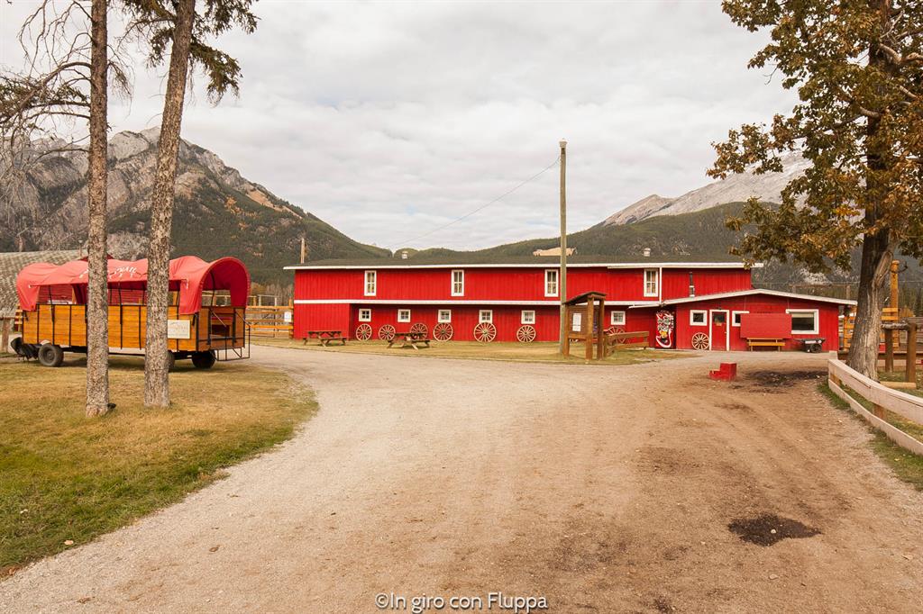 Banff National park - passeggiata a cavallo