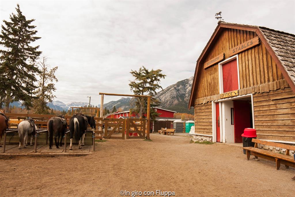 Banff National park - passeggiata a cavallo