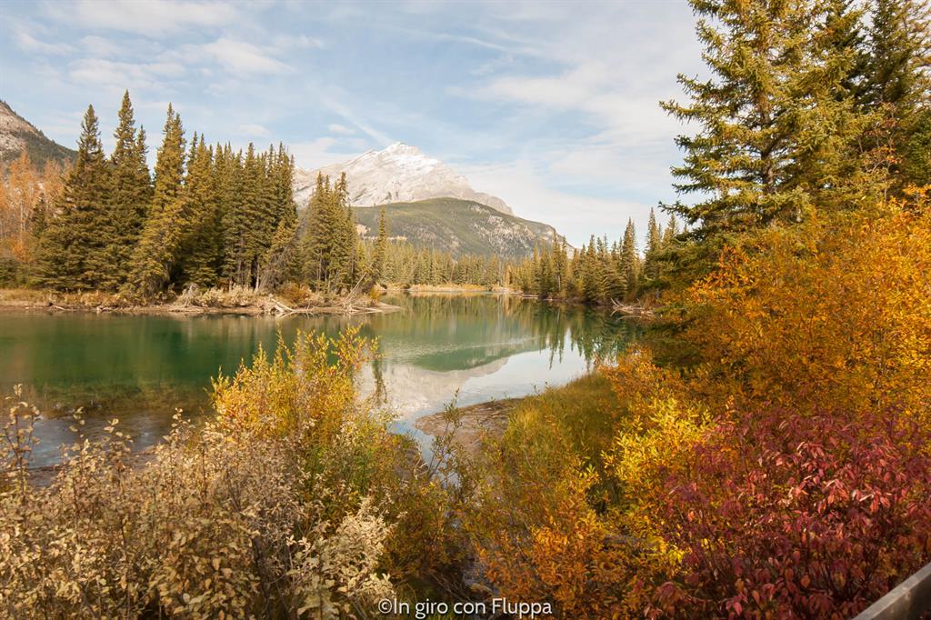 Banff National park - passeggiata a cavallo
