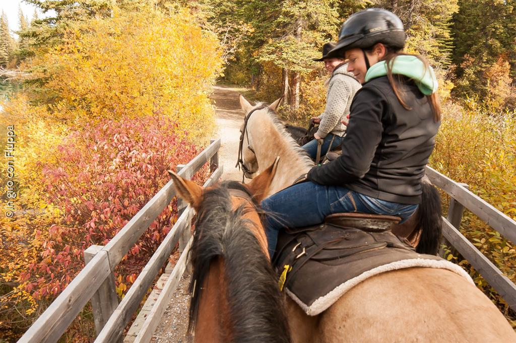 Banff National park - passeggiata a cavallo