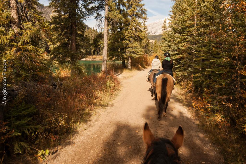 Banff National park - passeggiata a cavallo