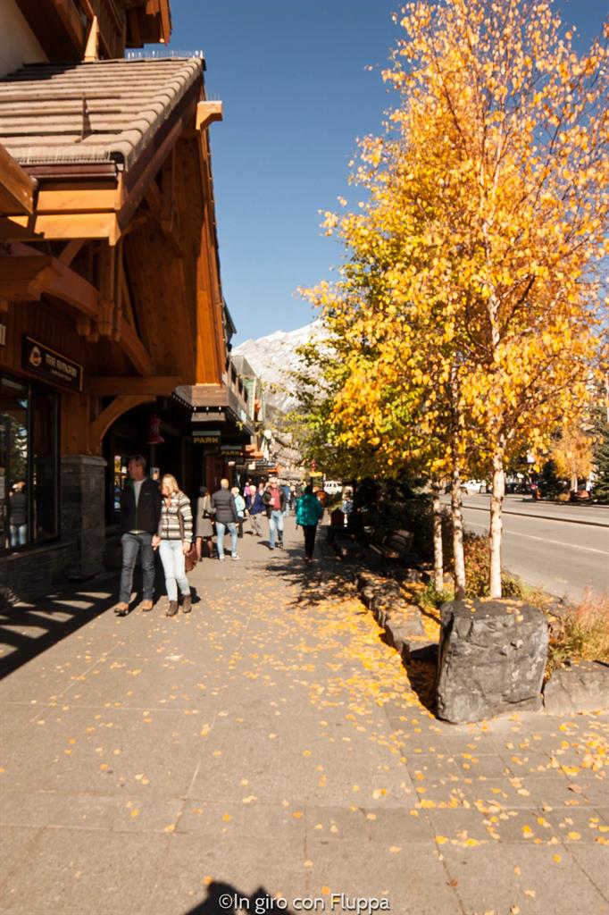 Banff National park - Banff town