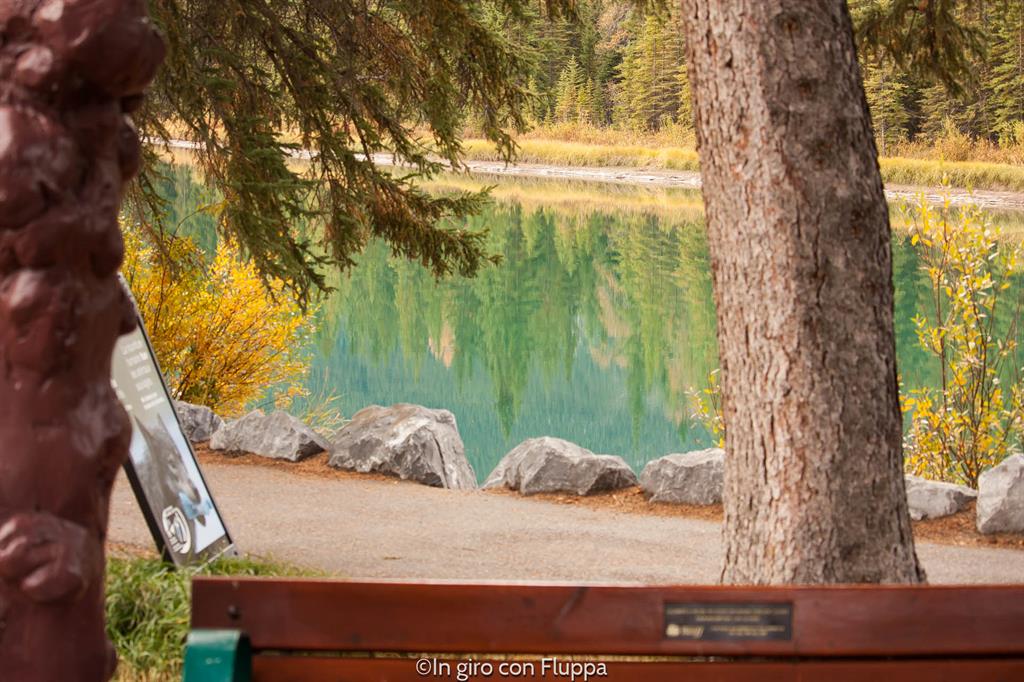 Banff National park - Bow river