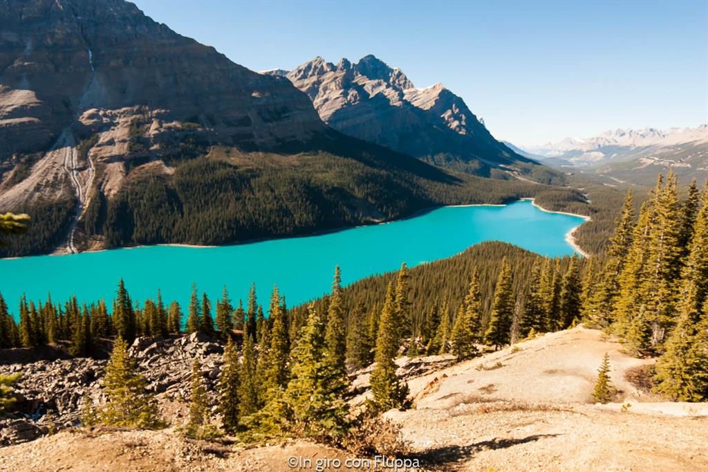 Banff National park - Peyto lake