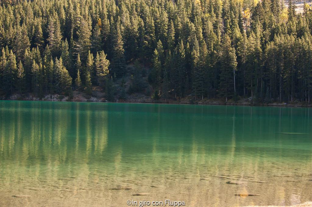 Banff National park - Two jack lake