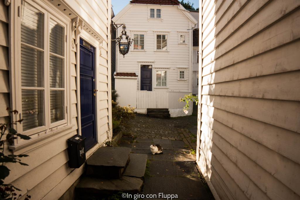 Cosa vedere a Bergen: Skuteviken