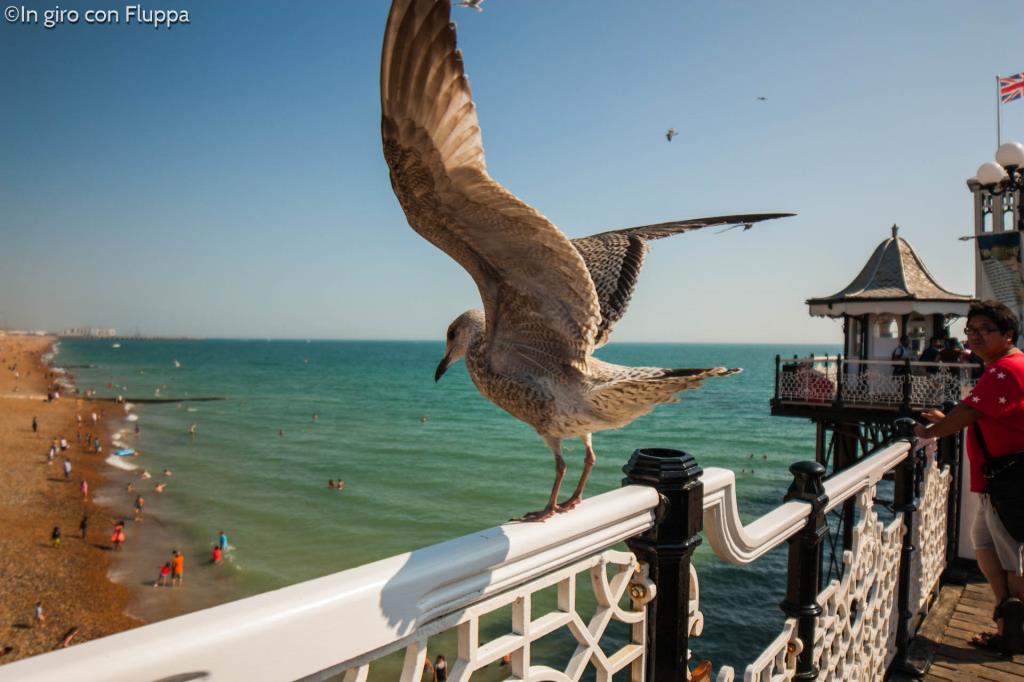 Copertina del post "Cosa vedere a Brighton, in Inghilterra"