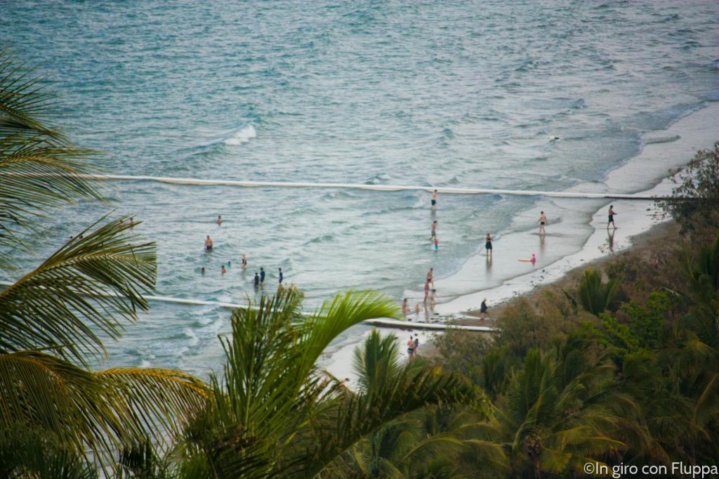 Port Douglas, un piccolo tratto di costa balneabile
