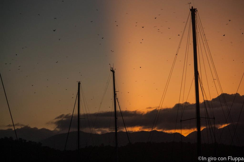 Port Douglas, tramonto