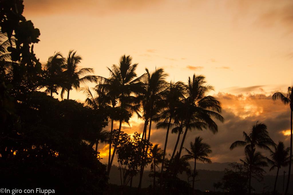 Copertina del post "Cairns & Port Douglas"