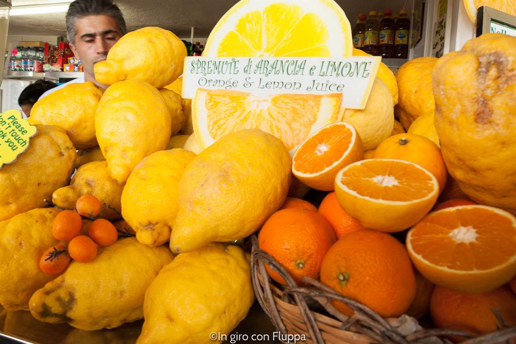 Capri - limoni