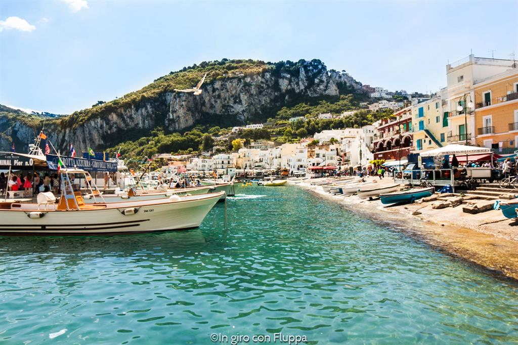 Porto di Capri - Marina Grande