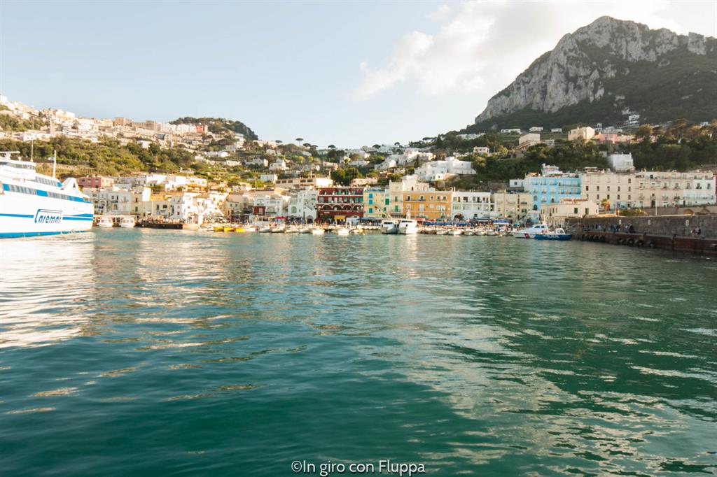 Porto di Capri - Marina Grande