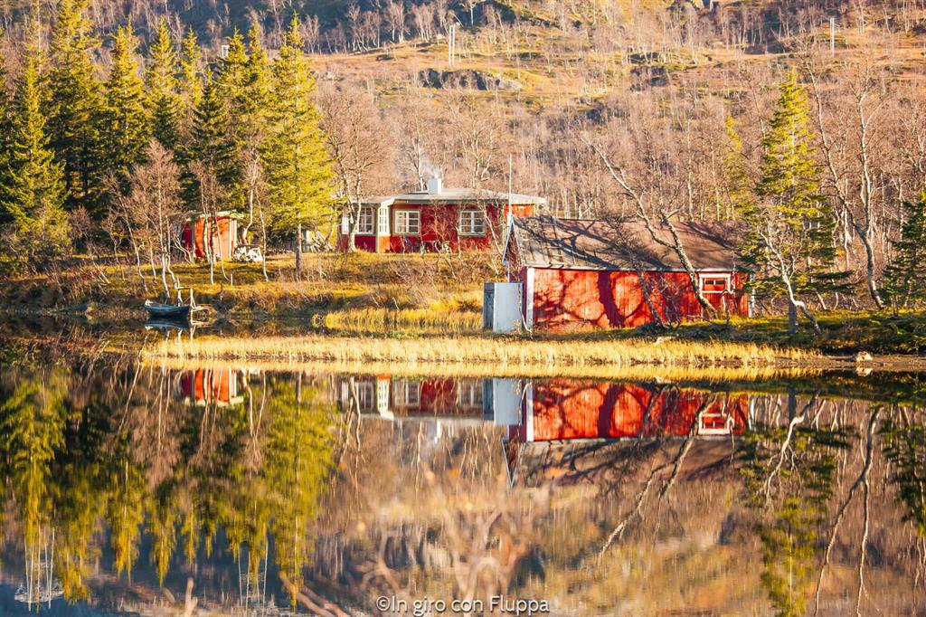 Lofoten