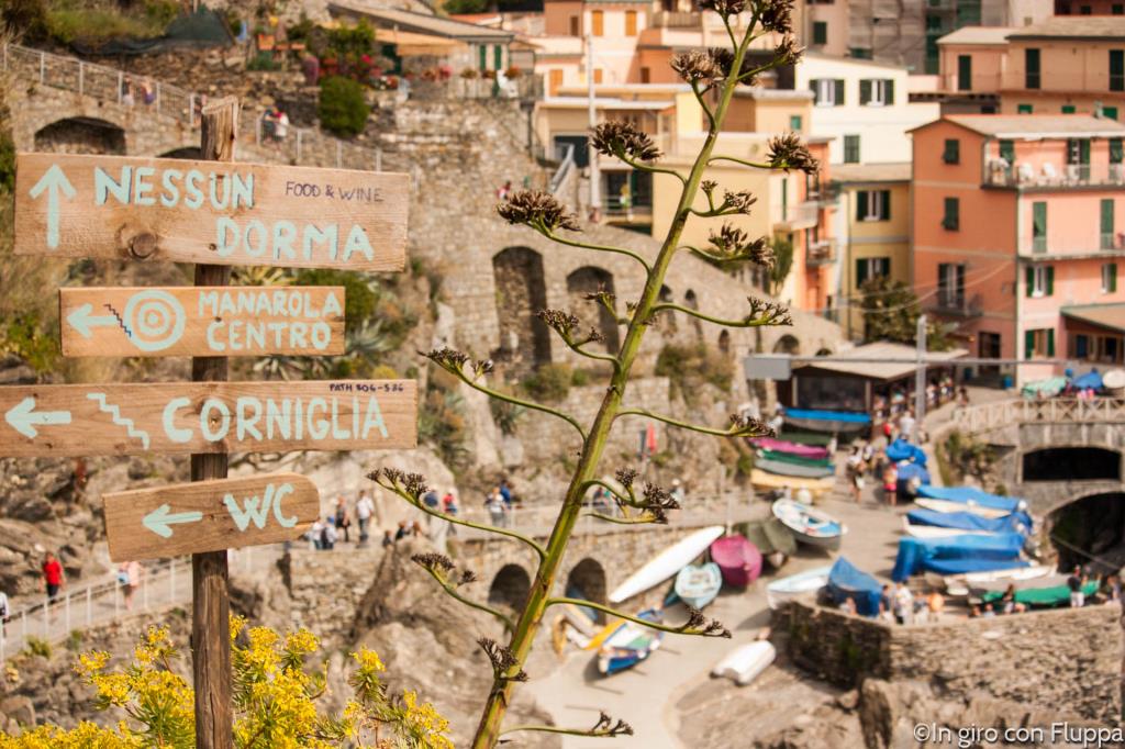 Manarola