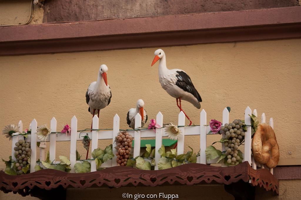 Cosa vedere a Colmar in un giorno