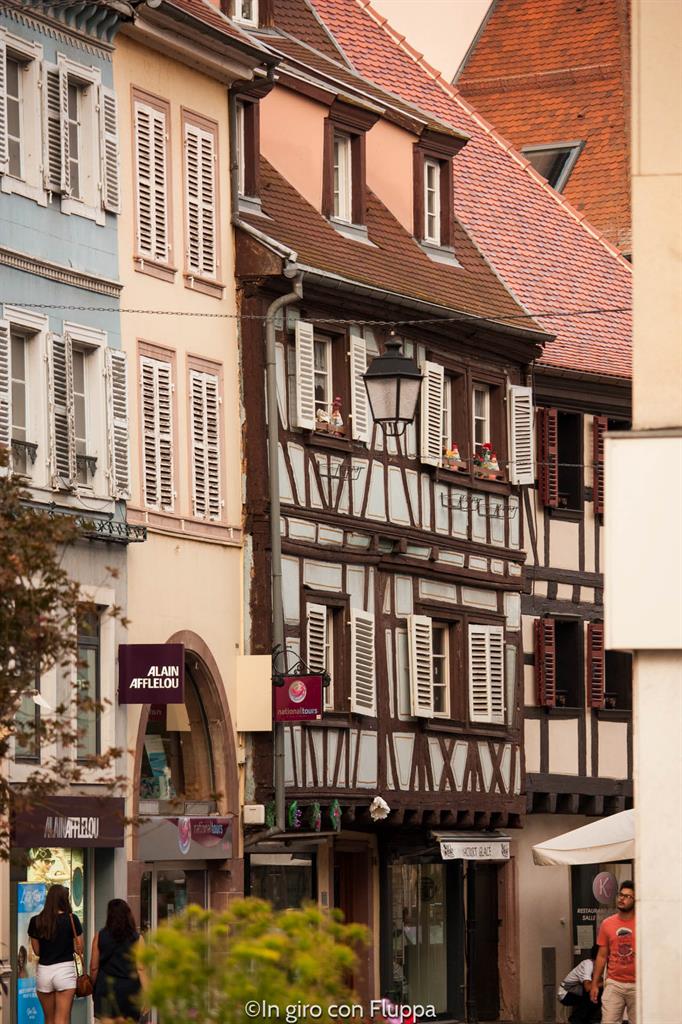 Cosa vedere a Colmar in un giorno