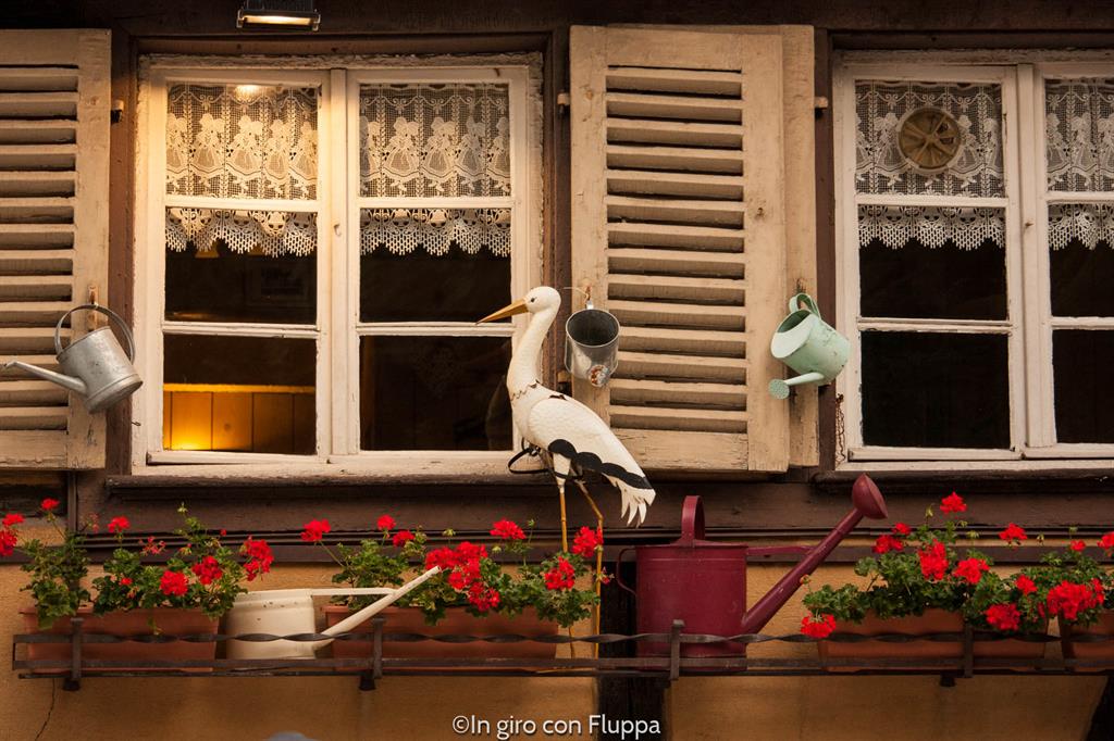 Cosa vedere a Colmar in un giorno