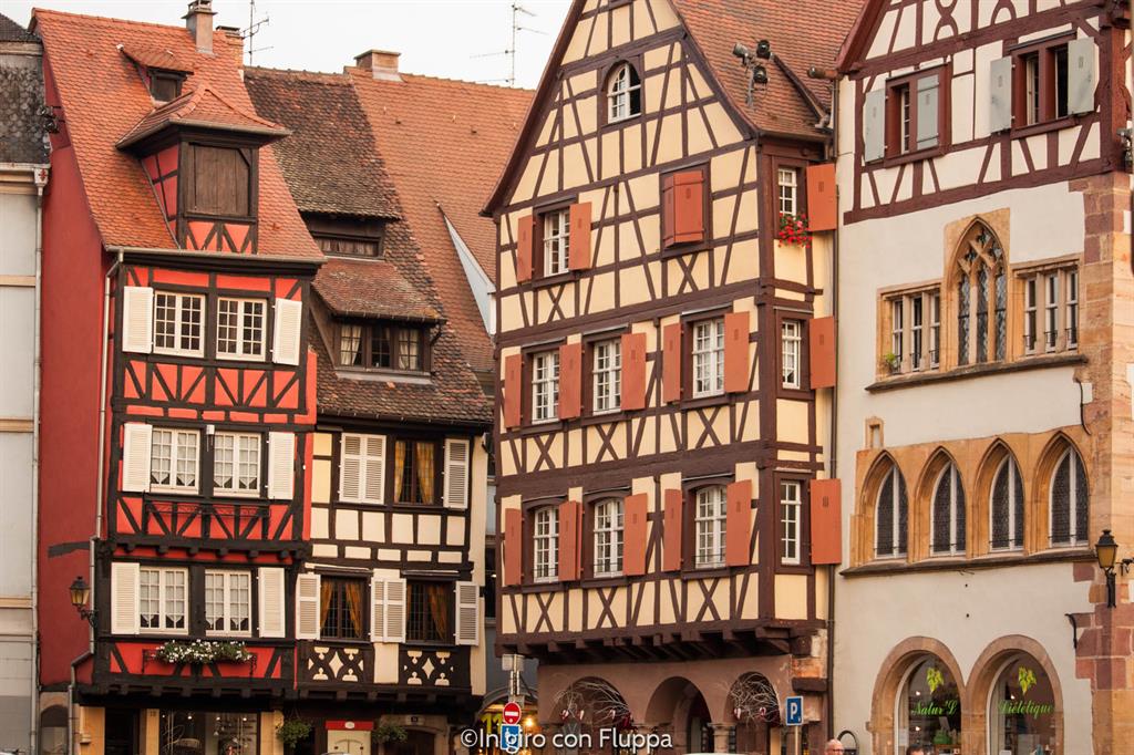 Cosa vedere a Colmar in un giorno