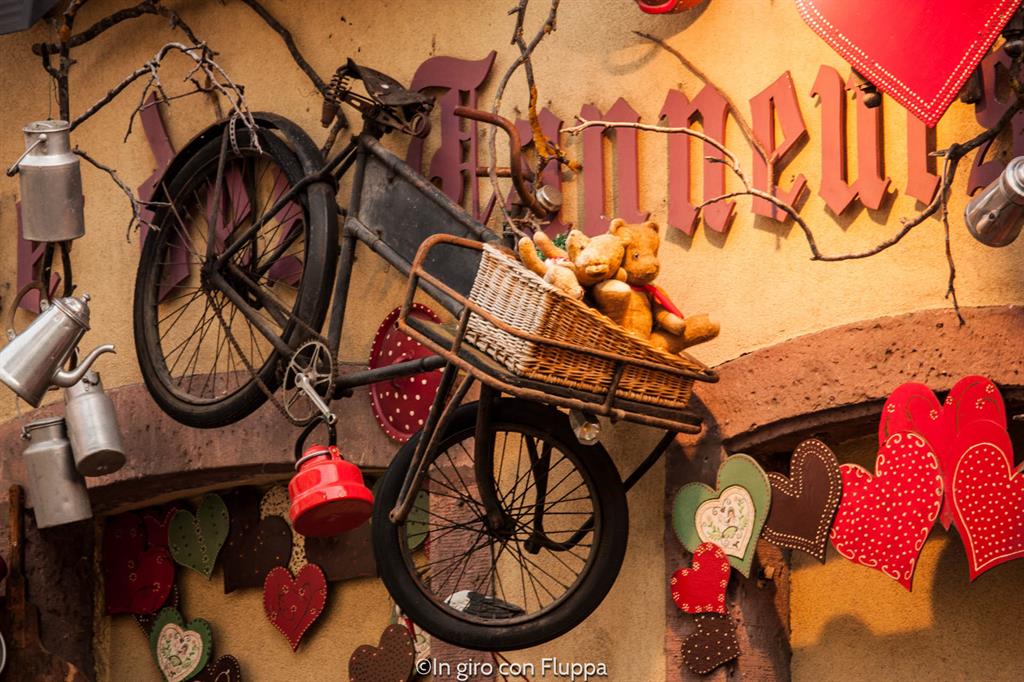 Cosa vedere a Colmar in un giorno: Rue des Tanneurs