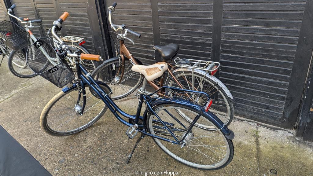 Bicicletta a noleggio, Copenhagen