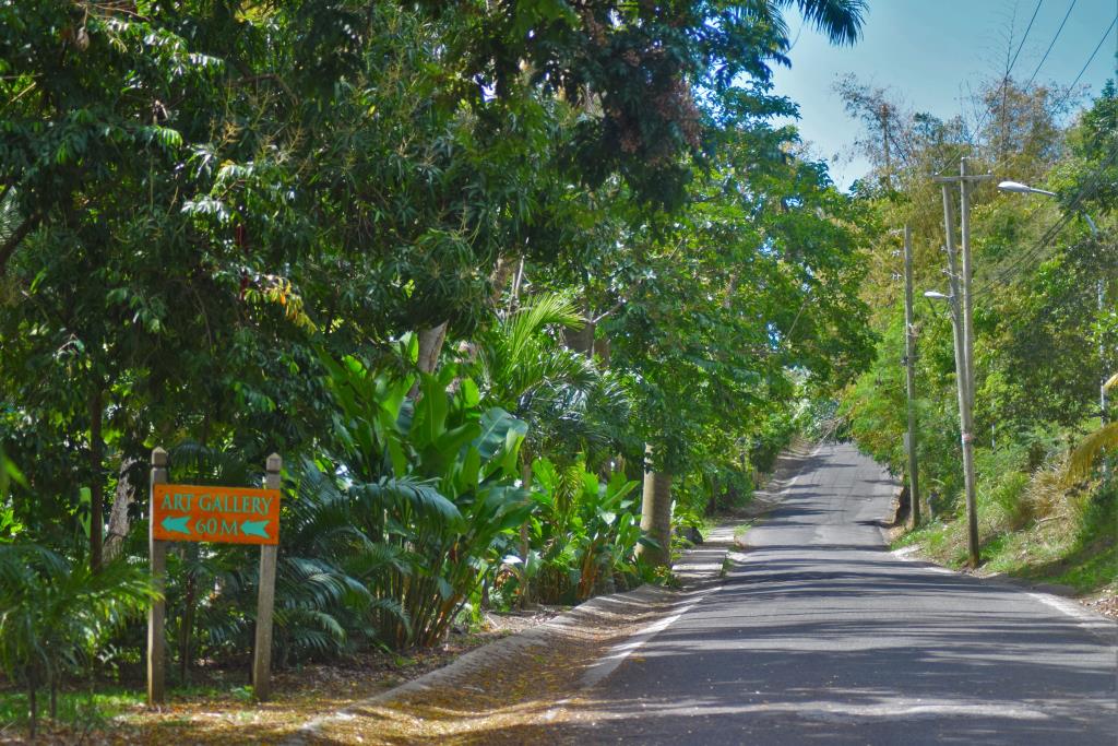 Fig tree drive - ©Antigua and Barbuda Tourism Authority