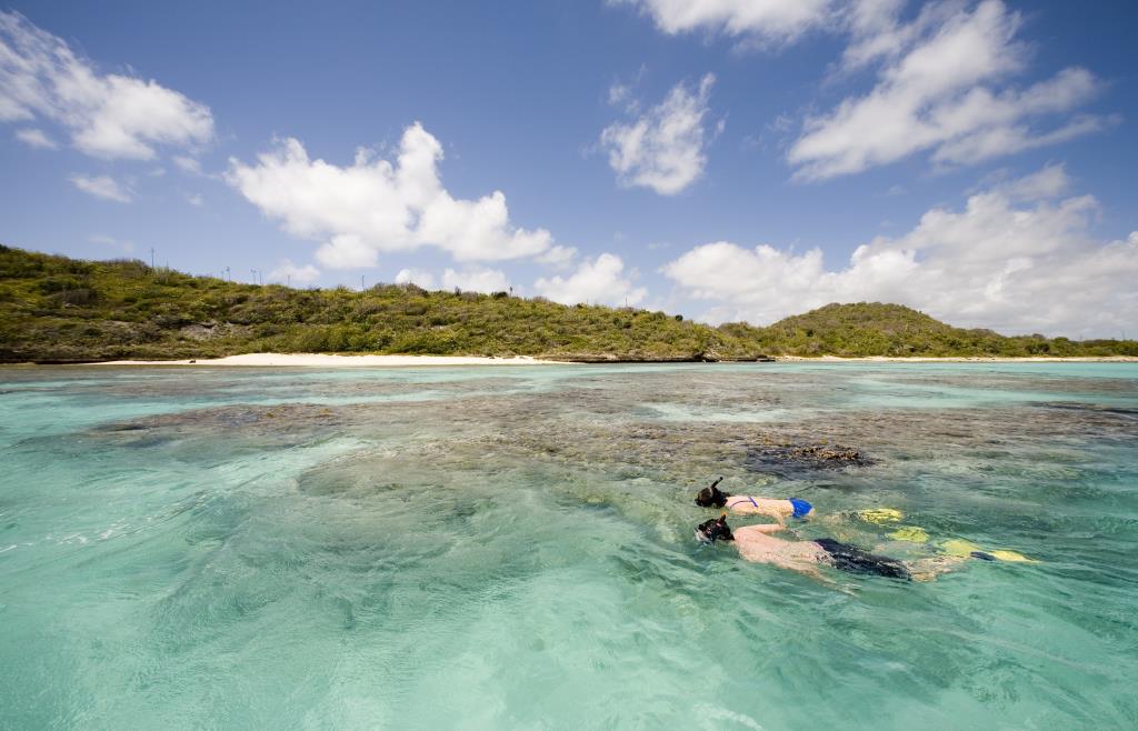 Snorkeling - © Antigua and Barbuda Tourism Authority