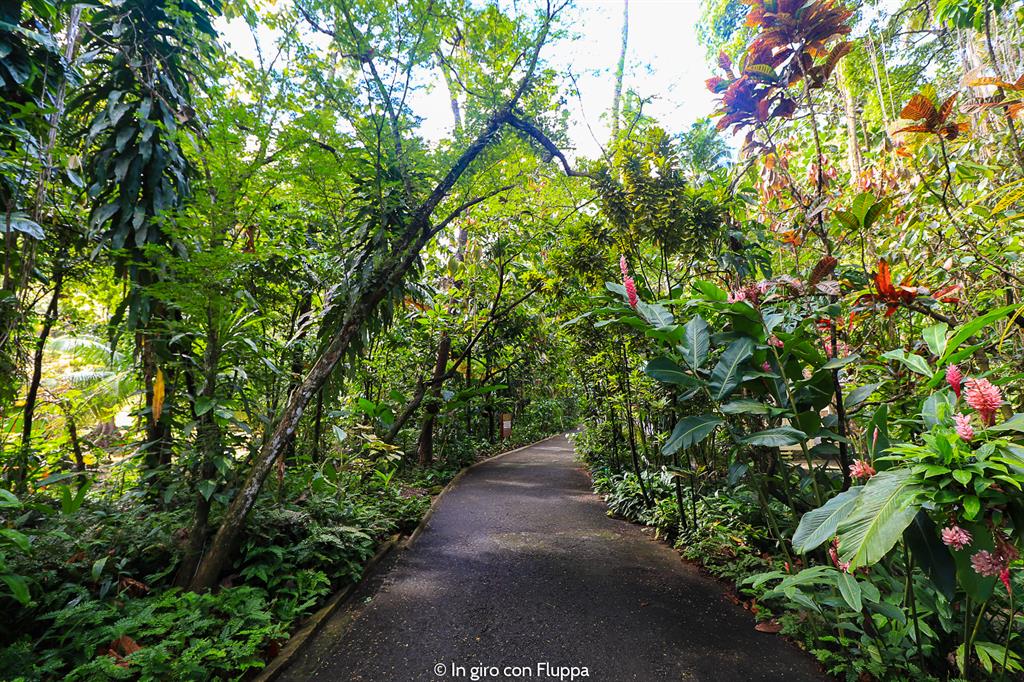 Cosa fare a Santa Lucia, Caraibi: Diamond Botanical Gardens