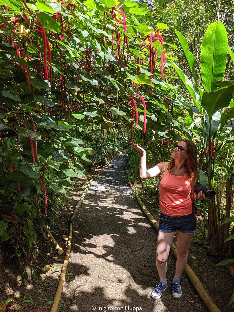 Cosa fare a Santa Lucia, Caraibi: Diamond Botanical Gardens