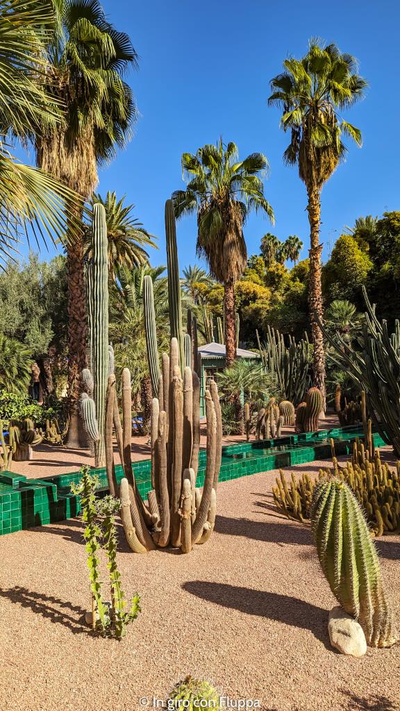 Jardin Majorelle