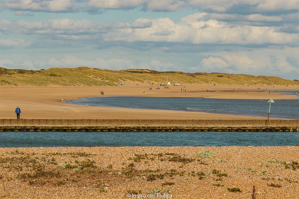 Cosa vedere a Rye in un giorno: Rye Harbour Nature Reserve