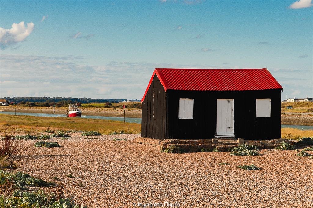 Cosa vedere a Rye in un giorno: Rye Harbour Nature Reserve