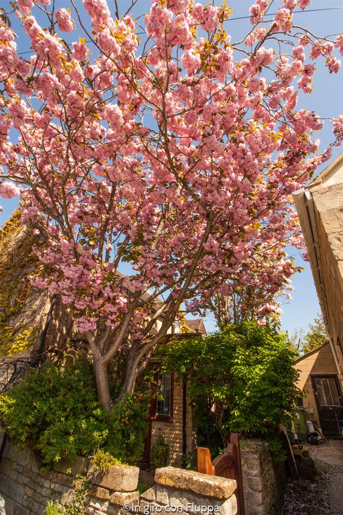 Cotswolds - Winchcombe
