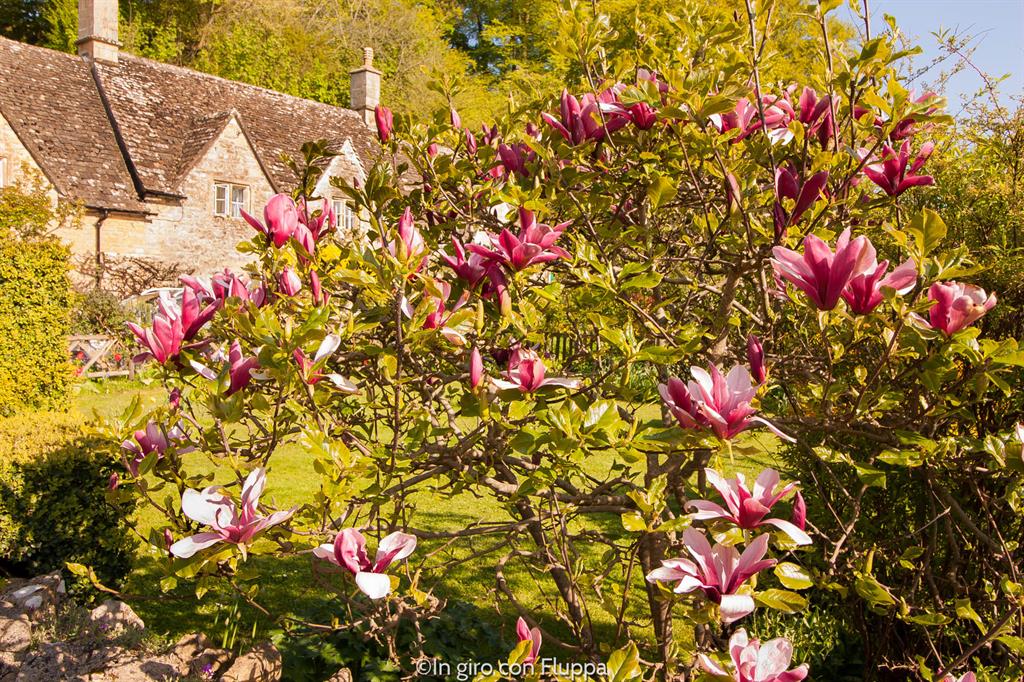 Cotswolds - cottages di Bibury