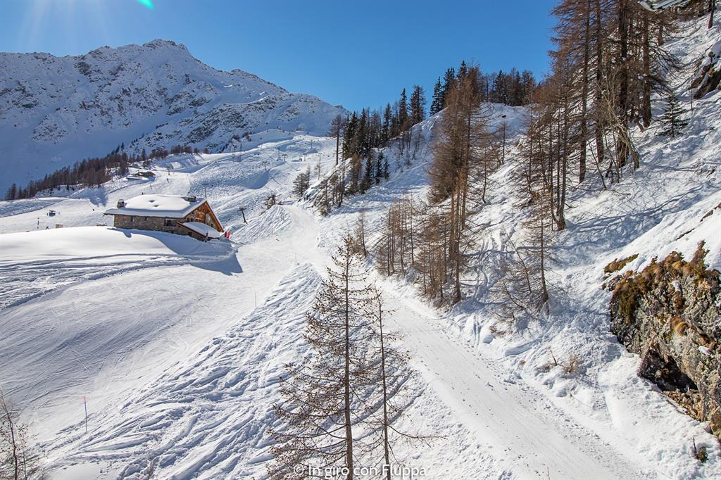 La mia settimana bianca a Courmayeur - sciare