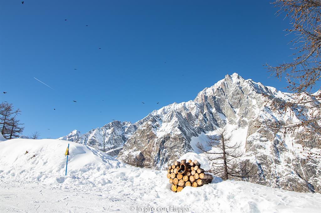 La mia settimana bianca a Courmayeur - sciare