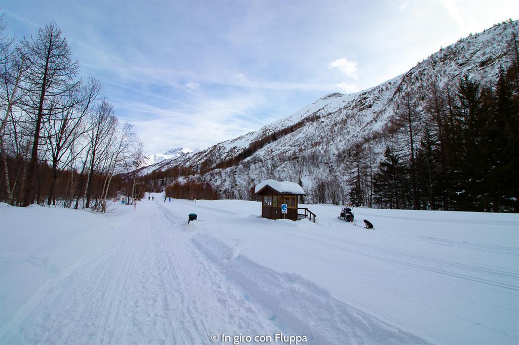 La mia settimana bianca a Courmayeur - trekking in Val Ferret