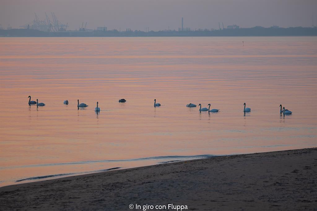 Cosa vedere nei dintorni di Danzica: Sopot, alba sul molo