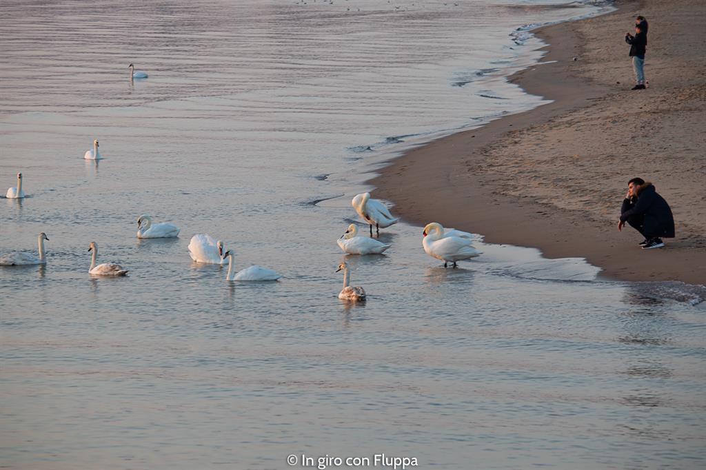 Cosa vedere nei dintorni di Danzica: Sopot, alba sul molo