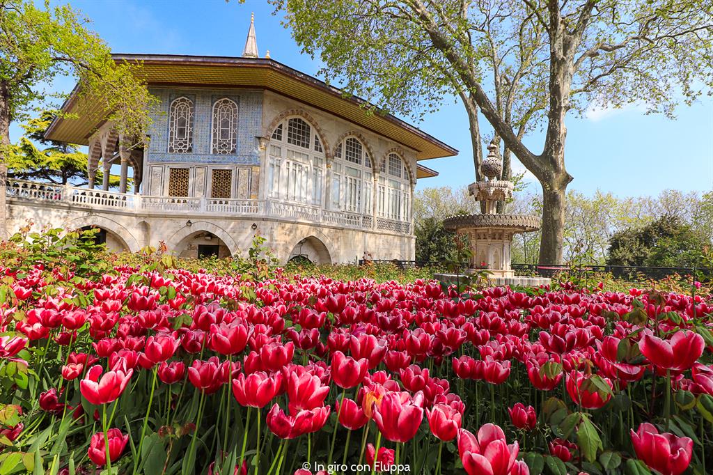 Istanbul, itinerario del quartiere antico: Palazzo Topkapi