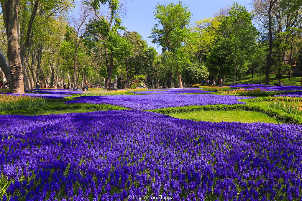 Istanbul, itinerario del quartiere antico: Parco Gulhane