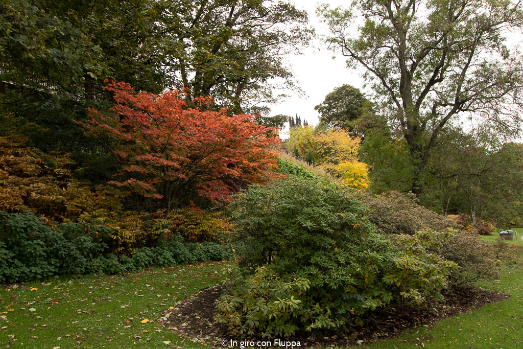 Dove vedere il fogliage a Edimburgo: Princes Street Gardens