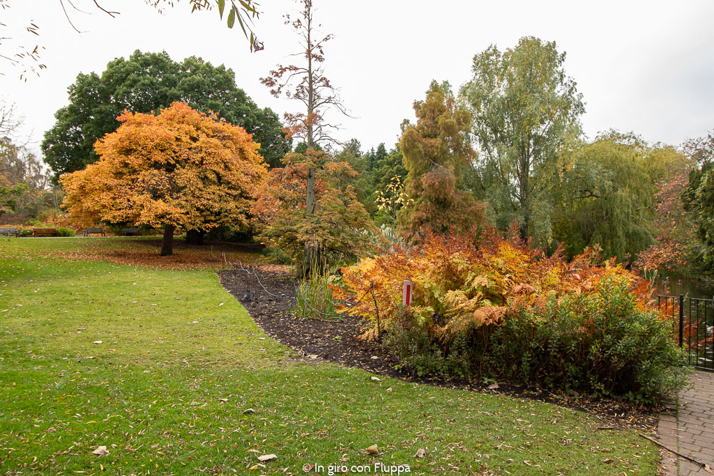 Dove vedere il fogliage a Edimburgo: Royal Botanic Gardens