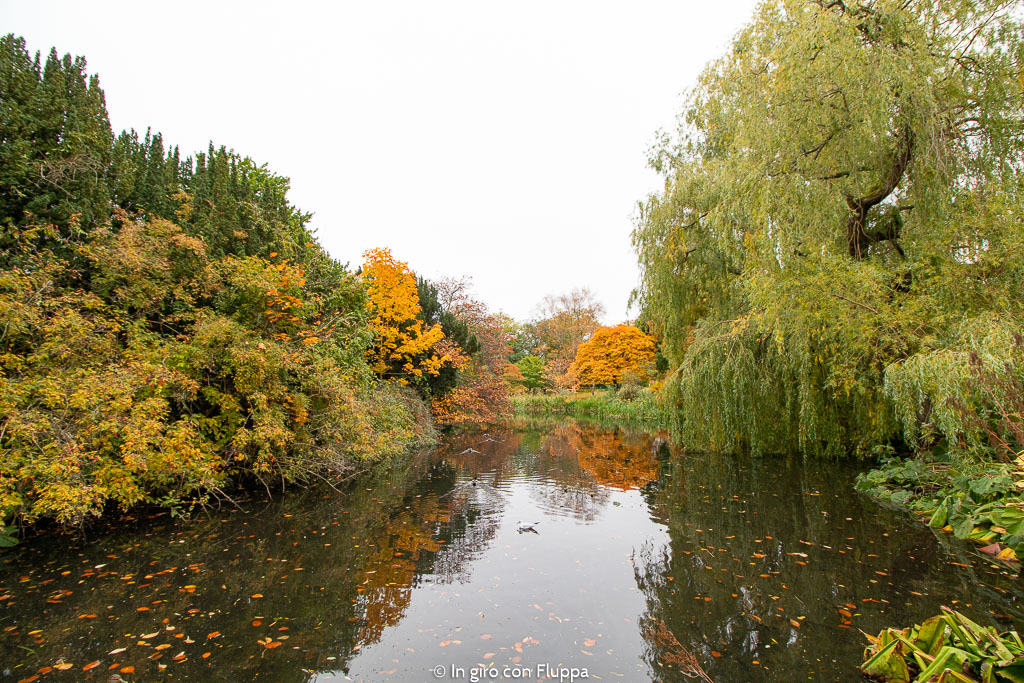 Dove vedere il fogliage a Edimburgo: Royal Botanic Gardens
